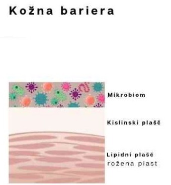 seboroični dermatitis lasišča